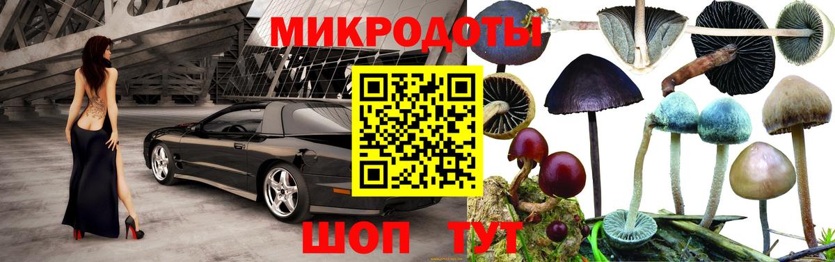 Псилоцибиновые грибы Psilocybine cubensis Каменск-Уральский