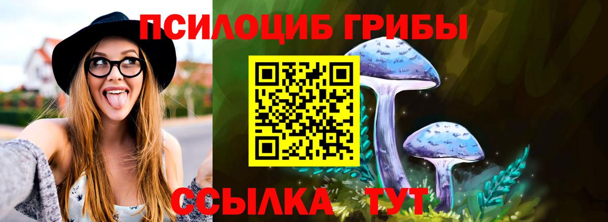 Псилоцибиновые грибы Psilocybe  Вход с VPN  сколько стоит  Каменск-Уральский 