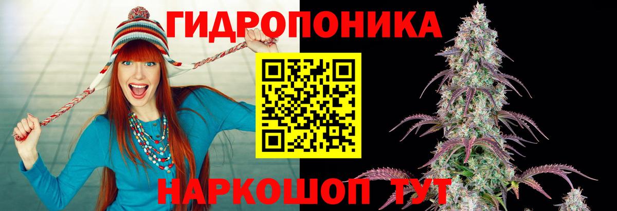 Конопля VHQ  Вход с VPN  Каменск-Уральский  Каннабис индика 